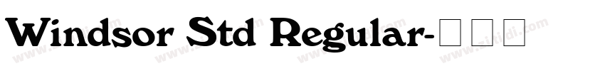 Windsor Std Regular字体转换